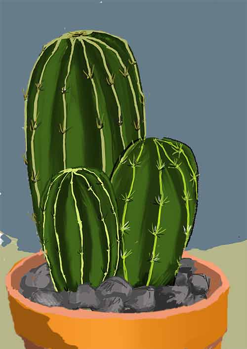 Tuto cactus : peindre des galets pour une déco qui ne manque pas de piquant