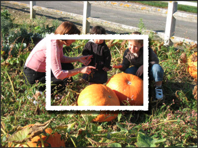 Mise en place bordure