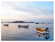 photo_golfe